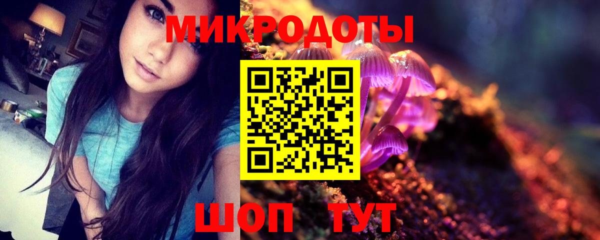 Галлюциногенные грибы Psilocybine cubensis Чебаркуль